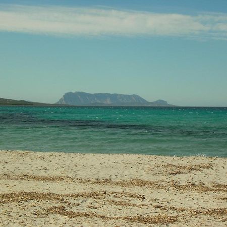 La Culla Del Mare Villa Budoni Esterno foto