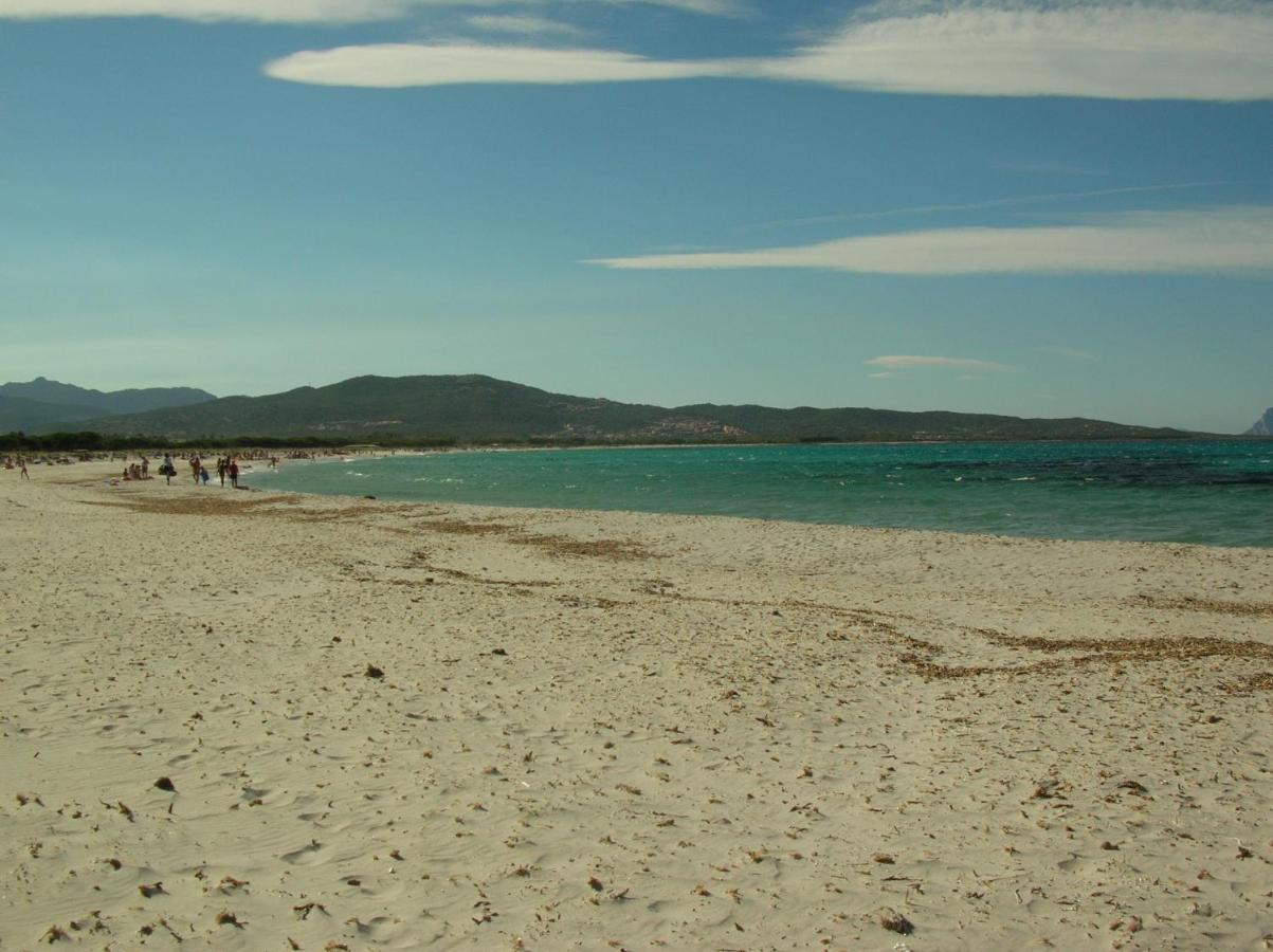 La Culla Del Mare Villa Budoni Esterno foto