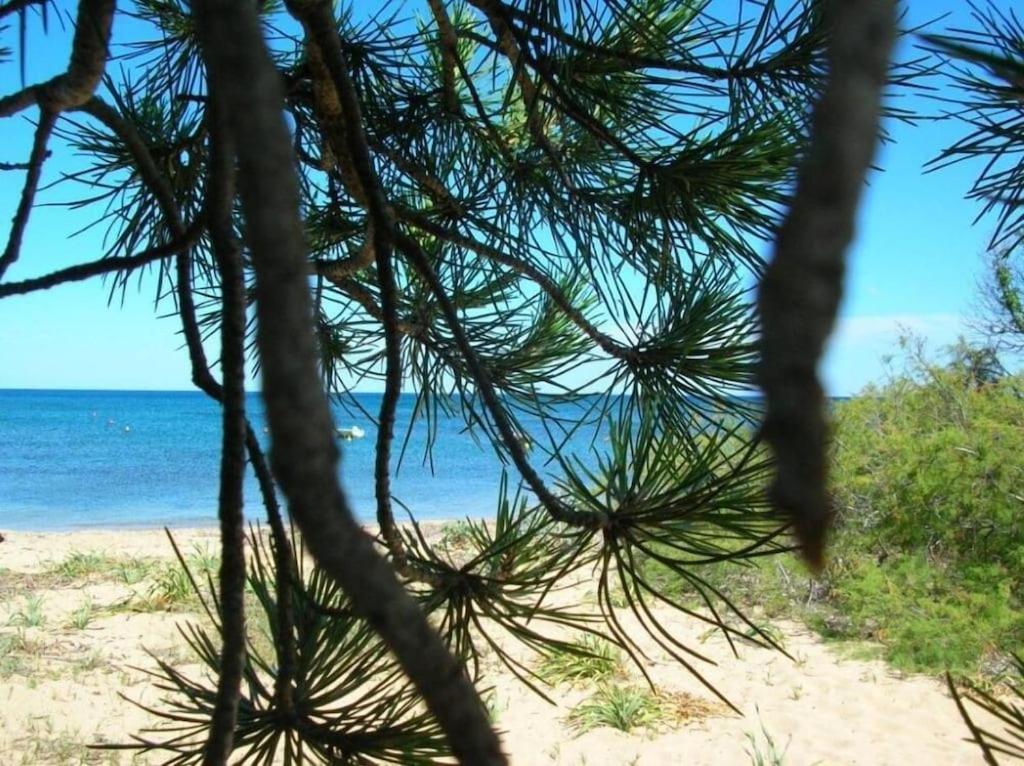 La Culla Del Mare Villa Budoni Esterno foto