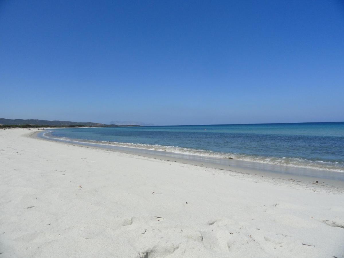 La Culla Del Mare Villa Budoni Esterno foto