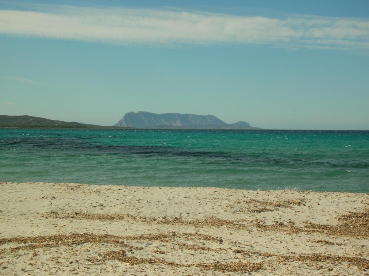 La Culla Del Mare Villa Budoni Esterno foto