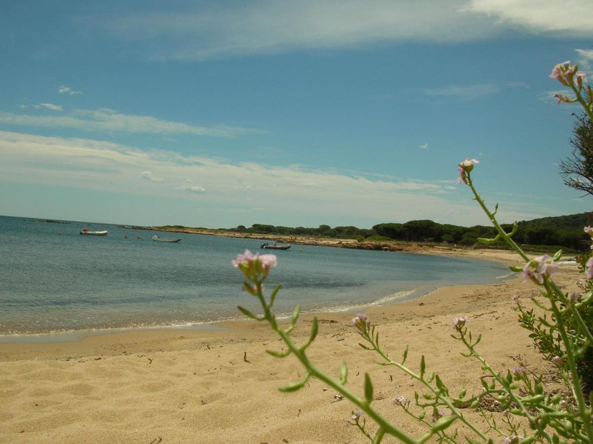 La Culla Del Mare Villa Budoni Esterno foto